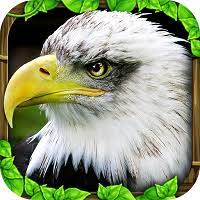 Eagle Game APK icon